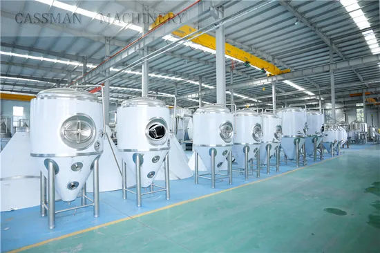 Manufacturer 5hl 500L Beer Equipment for Brewing Mead Hydromel Kombucha